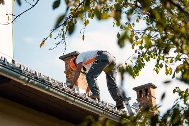 Best Roof Maintenance Services  in Draper, UT
